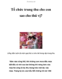 Tổ chức trung thu cho con sao cho thú vị?