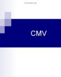 CMV