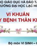 Bài giảng Vi khuẩn gây bệnh thần kinh - ThS. DS Phẩm Thu Minh