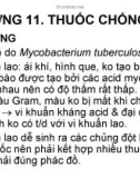 Bài giảng Chương 11: Thuốc chống lao