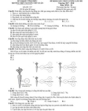 Đề thi KSCL lần 4 môn Sinh học lớp 10 năm 2018 - THPT Nguyễn Viết Xuân - Mã đề 207