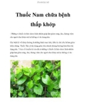 Thuốc Nam chữa bệnh thấp khớp