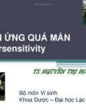 Bài giảng Phản ứng quá mẩn - TS. Nguyễn Thị Hoàng Lan