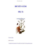 HUYỀN SÂM (Kỳ 2)