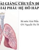 Bài giảng chuyên đề: Giải phẫu hệ hô hấp - Nguyễn Thị Thanh Thuần