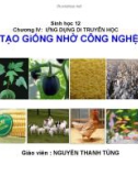 Bài giảng Sinh học 12 - Bài 20: Tạo giống thông qua công nghệ gen