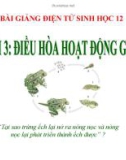 Bài giảng Sinh học 12 - Bài 3: Điều hòa hoạt động của gen