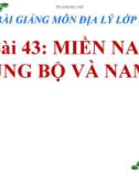 Bài giảng Địa lý 8 bài 43: Miền Nam Trung Bộ và Nam Bộ