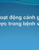 Bài giảng Hoạt động cảnh giác dược trong bệnh viện