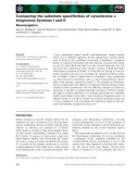 Báo cáo khoa học: Comparing the substrate speciﬁcities of cytochrome c biogenesis Systems I and II