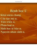 Giải phẫu bệnh - Bệnh học u part 1