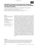 Báo cáo khoa học: Hydrophilic iminosugar active-site-speciﬁc chaperones increase residual glucocerebrosidase activity in ﬁbroblasts from Gaucher patients