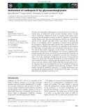 Báo cáo khoa học: Activation of cathepsin D by glycosaminoglycans