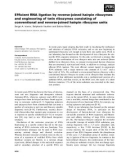 Báo cáo khoa học: Efﬁcient RNA ligation by reverse-joined hairpin ribozymes and engineering of twin ribozymes consisting of conventional and reverse-joined hairpin ribozyme units