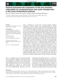 Báo cáo khoa học: Hypoxia decreases the expression of the two enzymes responsible for producing linear and cyclic tetrapyrroles in the heme biosynthetic pathway