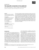 Báo cáo khoa học: The hepoxilin connection in the epidermis