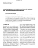 Báo cáo hóa học: Speech Enhancement by Multichannel Crosstalk Resistant ANC and Improved Spectrum Subtraction