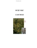 Dược học - Cam Thảo