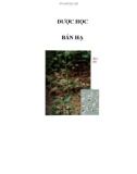 DƯỢC HỌC - BÁN HẠ