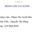 Báo cáo: Bệnh lợn tai xanh