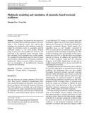 Báo cáo hóa học: Multiscale modeling and simulation of nanotube-based torsional oscillators