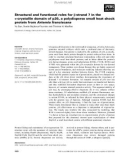 Báo cáo khoa học: Structural and functional roles for b-strand 7 in the a-crystallin domain of p26, a polydisperse small heat shock protein from Artemia franciscana