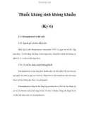 Thuốc kháng sinh kháng khuẩn (Kỳ 6)