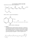 CÁC VITAMIN TAN TRONG CHẤT BÉO