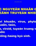 Các nguyên nhân gây bệnh truyền nhiễm