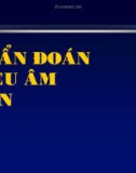 Bài giảng Chẩn đoán siêu âm gan