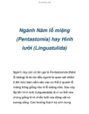 Ngành Năm lỗ miệng (Pentastomia) hay Hình lưỡi (Linguatulida)