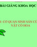 Slide bài Cơ quan sinh sản của thực vật có hoa - Khoa học 5 - GV.H.T.Minh