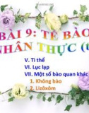 Bài giảng Sinh học 10 - Bài 9: Tế bào nhân thực (Tiết 2)