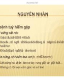 Bài giảng thần kinh - Liệt hai chân part 4