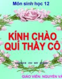 Bài giảng Sinh học 12 bài 43: Trao đổi vật chất trong hệ sinh thái