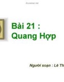 Bài giảng điện tử môn sinh học: Quang hợp