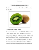 10 lợi ích của kiwi đối với sức khỏe