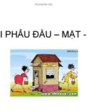 Bài giảng Giải phẫu Đầu-mặt-cổ