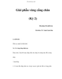 Giải phẫu vùng cẳng chân (Kỳ 2)