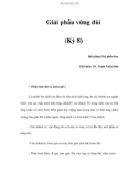 Giải phẫu vùng đùi (Kỳ 8)