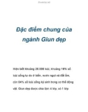 Đặc điểm chung của ngành Giun dẹp