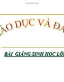 Bài giảng Sinh học 11 bài 26: Cảm ứng ở động vật