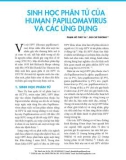 Sinh học phân tử của Human papillomavirus và các ứng dụng