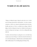 VI KHUẨN ĐA ĐỀ KHÁNG