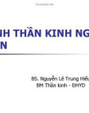 Bài giảng Bệnh thần kinh ngoại biên - BS. Nguyễn Lê Trung Hiếu