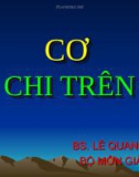 Bài giảng Giải phẫu: Cơ chi trên - Bs. Lê Quang Tuyền