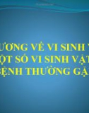 Bài giảng Đại cương về vi sinh y học và một số vi sinh vật gây bệnh thường gặp