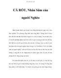 CÀ RỐT - Nhân Sâm cho người Nghèo