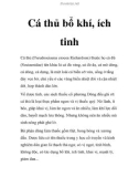 Cá thủ bổ khí, ích tinh