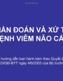 Phác đồ điều trị viêm não